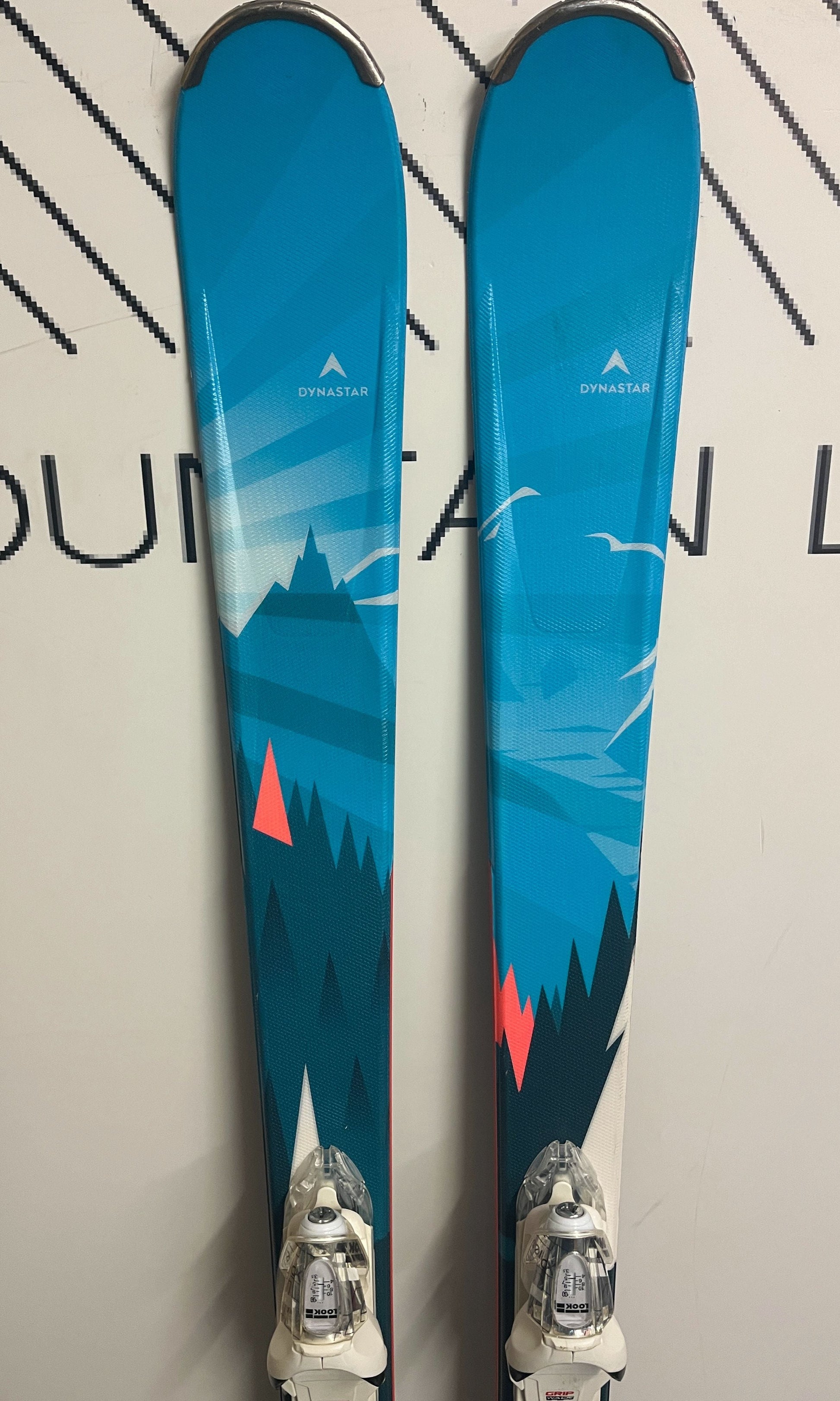 Ski Dynastar Intersport